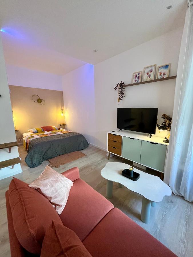 Apartment Le Natanigor - Centre Gare