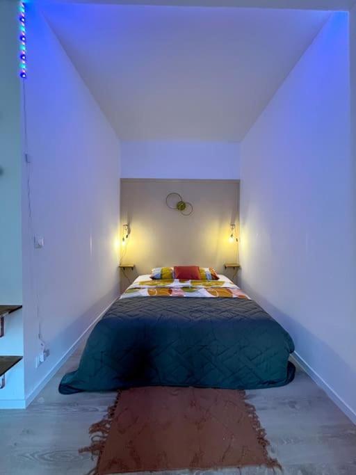 Le Natanigor - Centre Gare Apartment